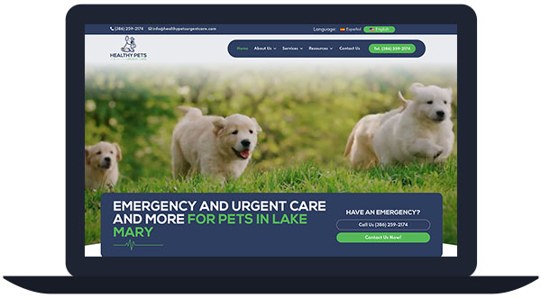 healthy pets urgent care website screenshot