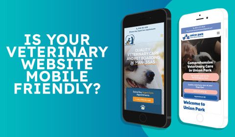 Is Your Veterinary Website Mobile-Friendly? Here’s Why It Matters