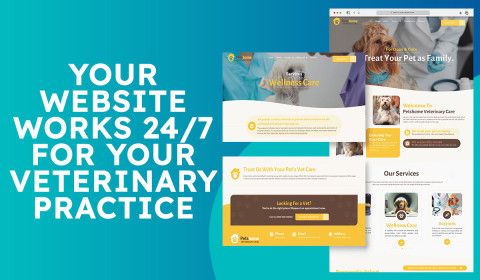 Your Website Works 24/7 for Your Veterinary Practice