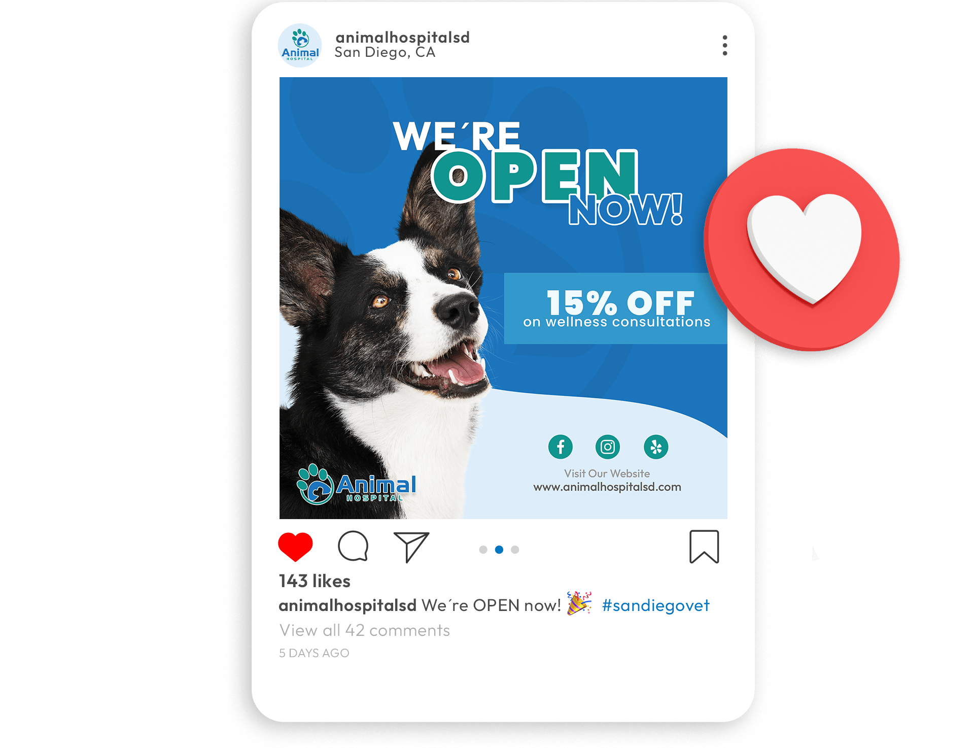 animal hospital instagram post screenshot