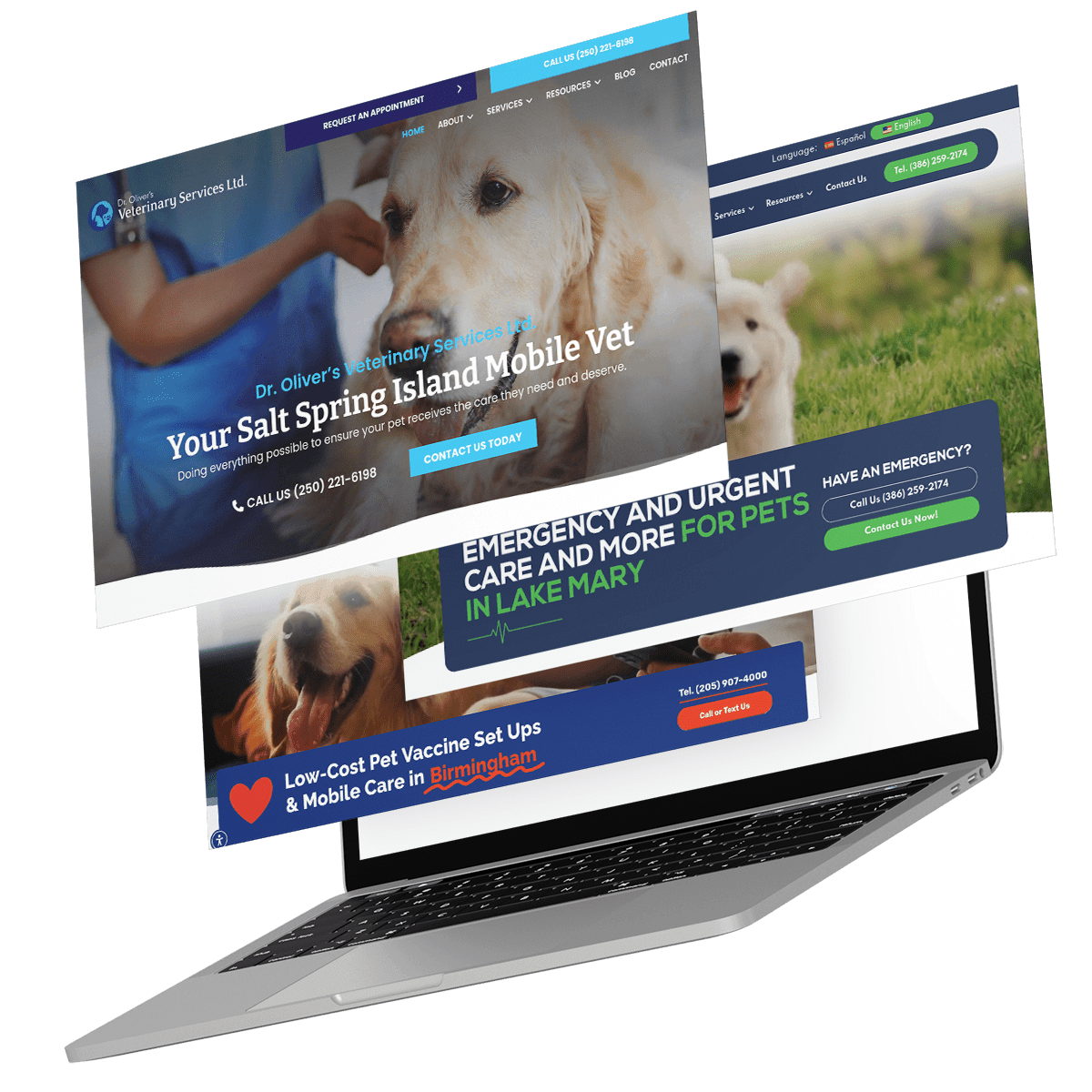 websy vet websites on laptop